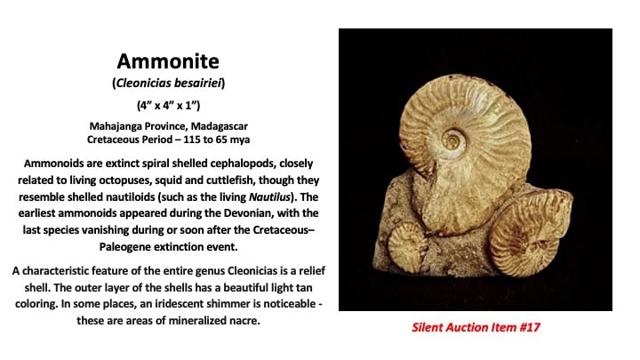 Slide18