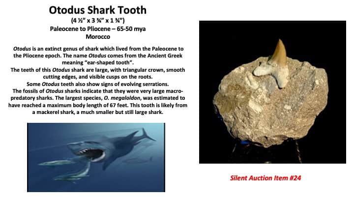 Slide25