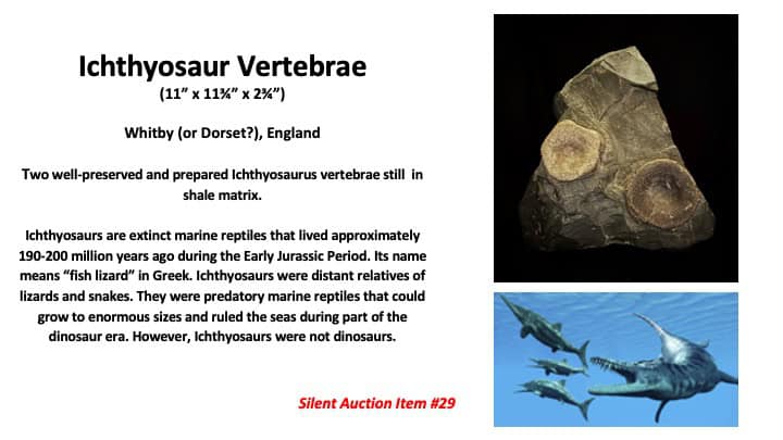 Slide30