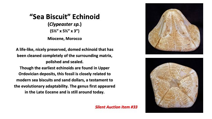 Slide34