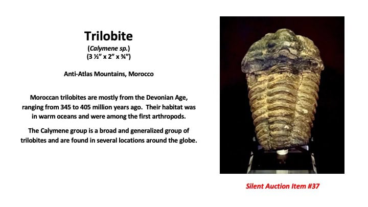 Slide38