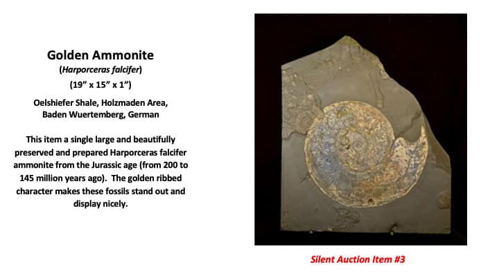 Slide4