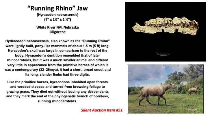 Slide52