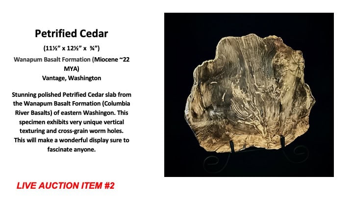 Slide62