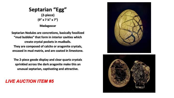 Slide65