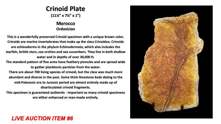Slide66