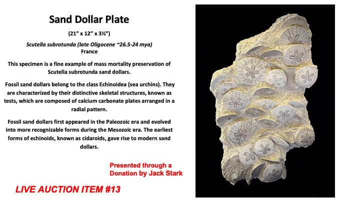 Slide73