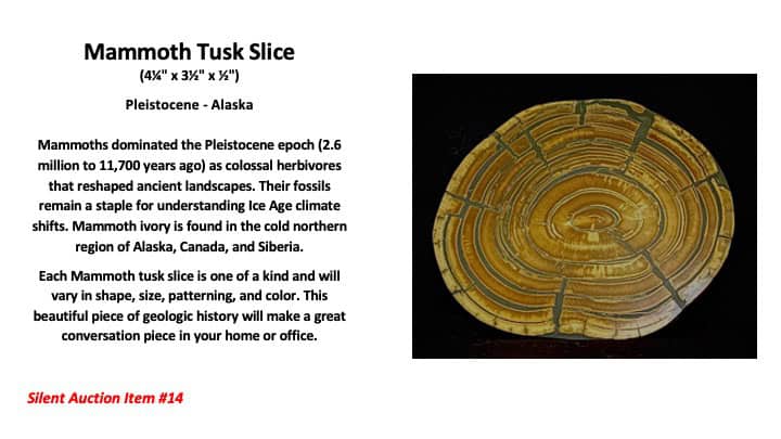 2026_Slide15