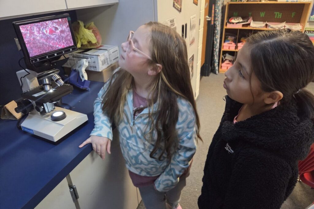 Students use a microscope for hands-on science learning supported by an education nonprofit using corporate sponsorship to help teachers.